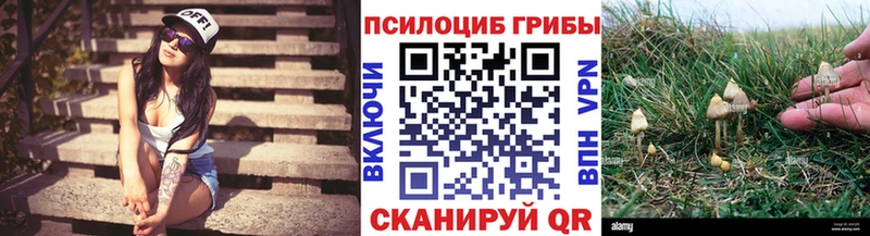 Купить Йошкар-Ола Галлюциногенные грибы GOLDEN TEACHER