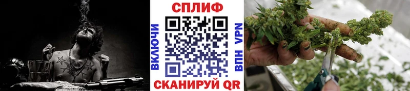 Каннабис планчик  Купить закладки  Йошкар-Ола 
